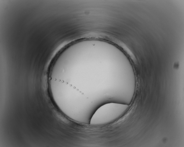 X0000103451075200809121120