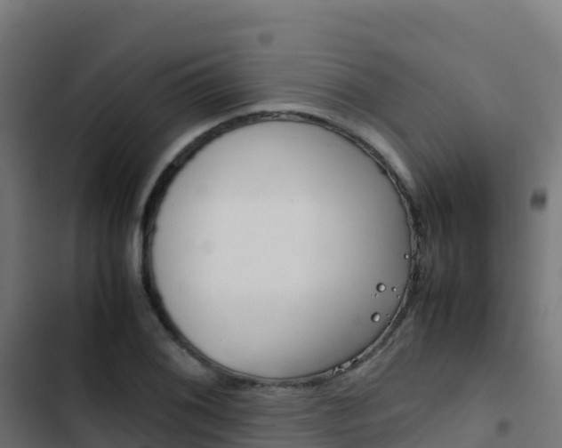 X0000103451076200809121120