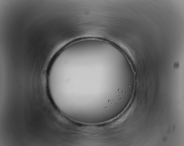 X0000103451077200809121120