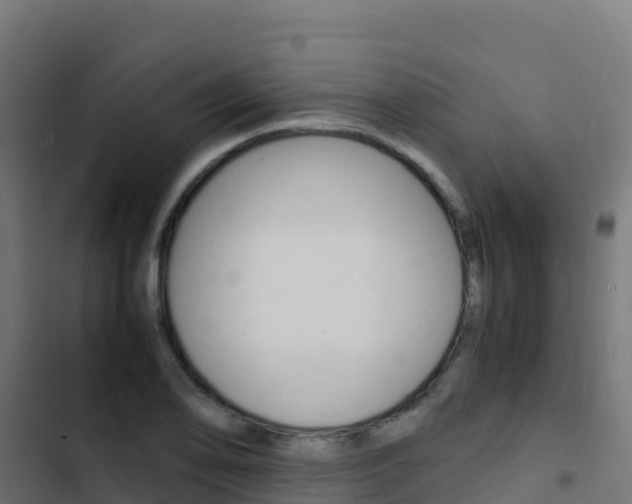 X0000103451078200809121120