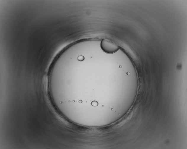 X0000103451079200809121120
