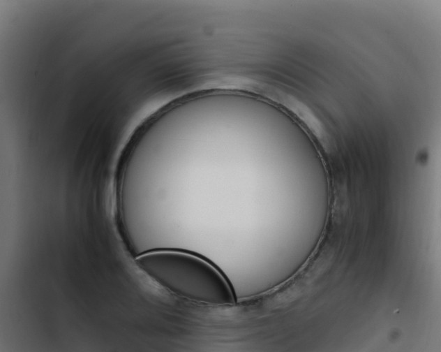 X0000103451080200809121120