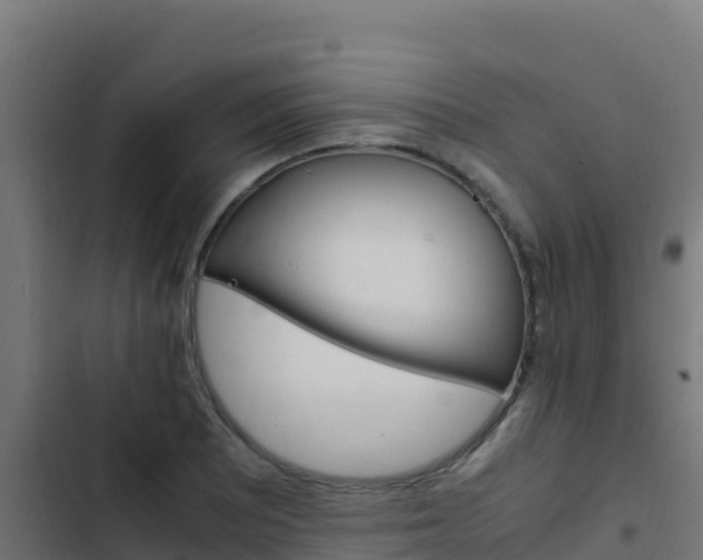 X0000103451081200809121120