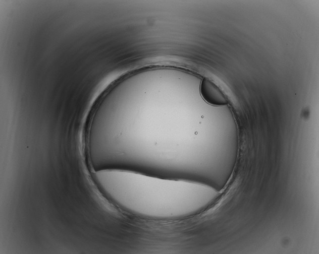 X0000103451082200809121120