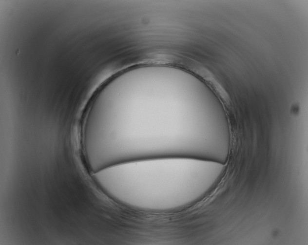 X0000103451083200809121120