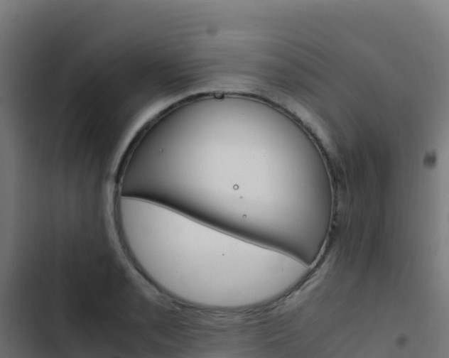 X0000103451085200809121120