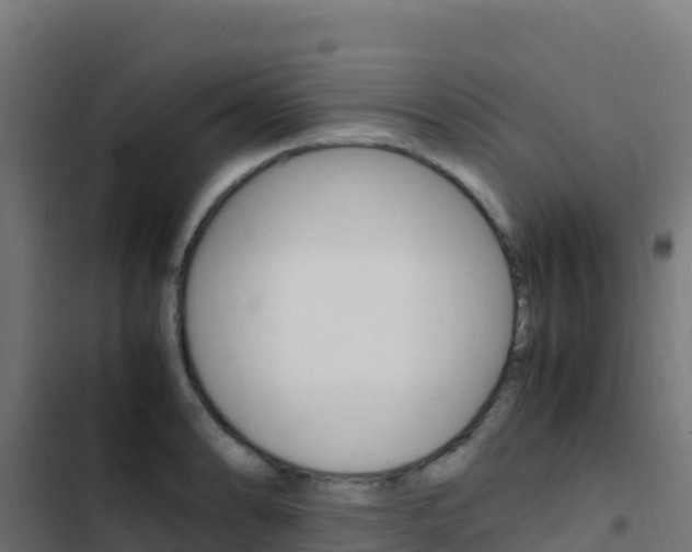 X0000103451086200809121120