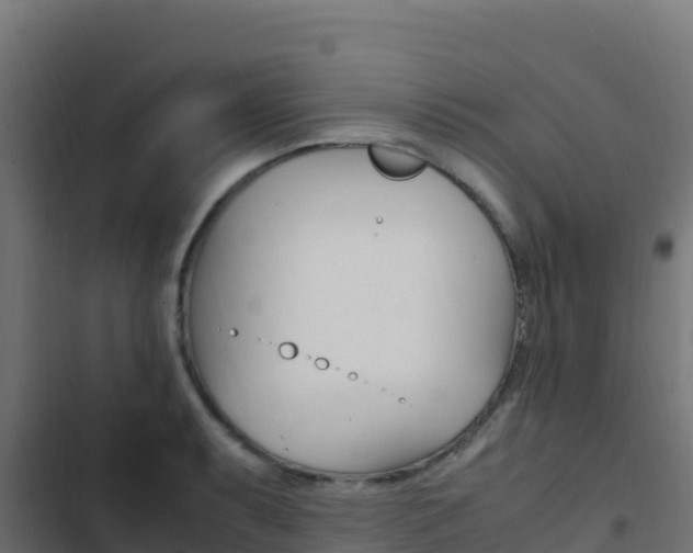 X0000103451087200809121120