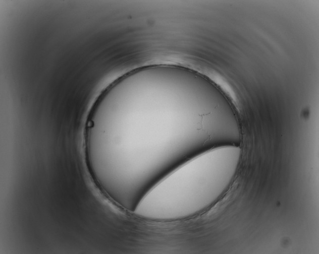 X0000103451088200809121120
