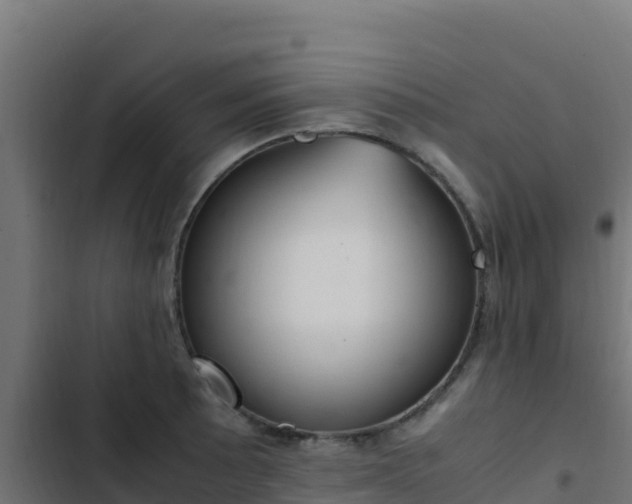 X0000103451089200809121120