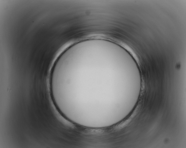 X0000103451090200809121120