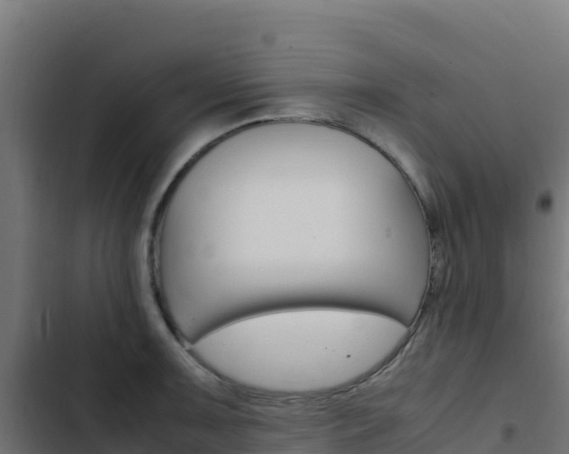 X0000103451091200809121120