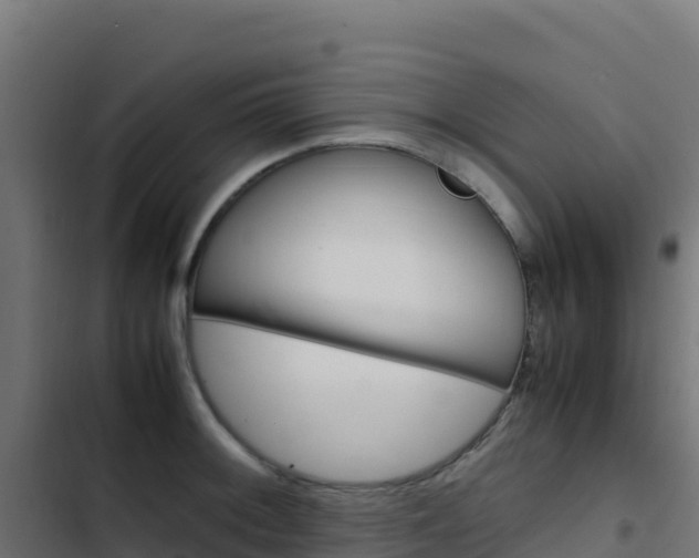 X0000103451092200809121119