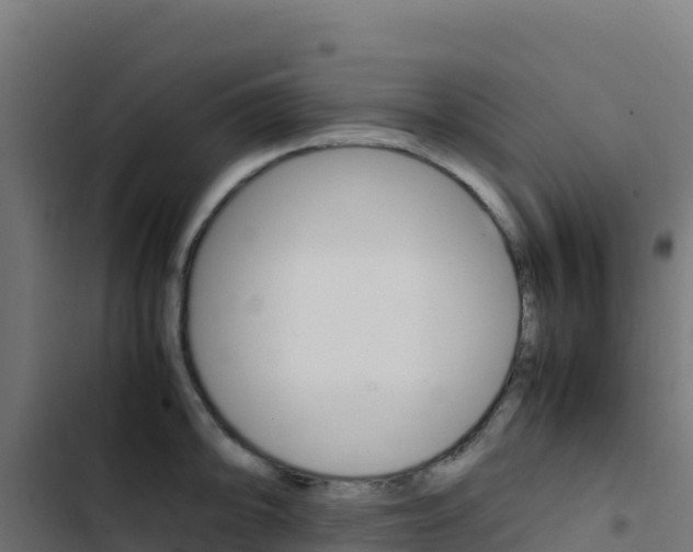 X0000103451094200809121119