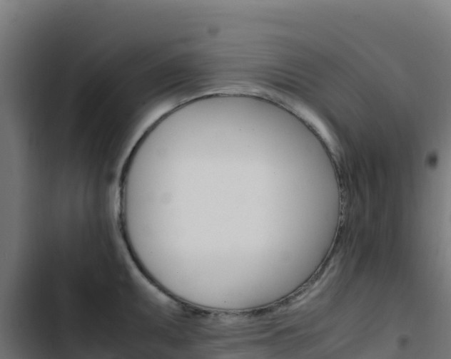 X0000103451095200809121119