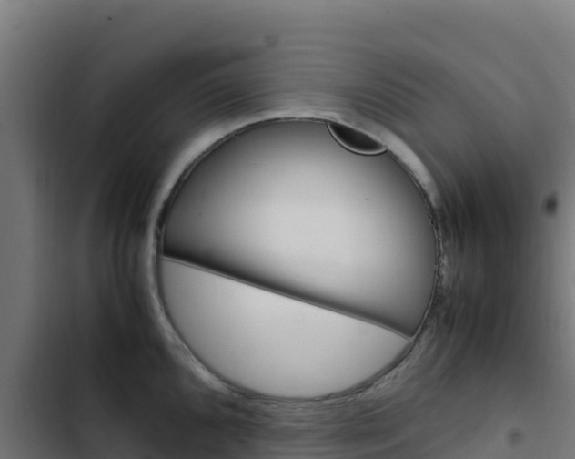 X0000103451096200809121119