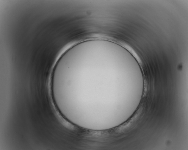 X0000103451098200809121119