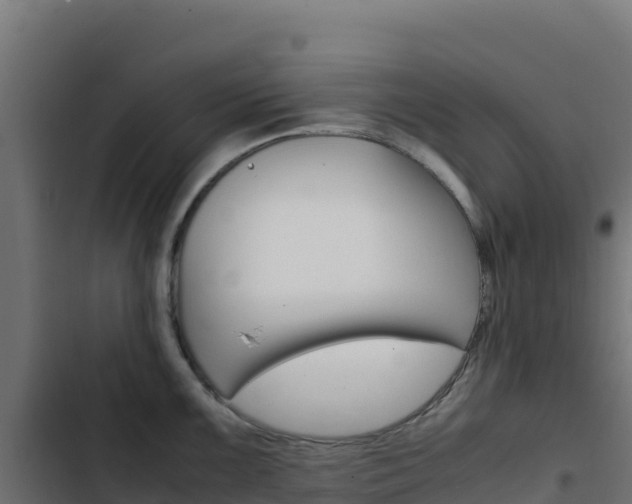X0000103451099200809121119