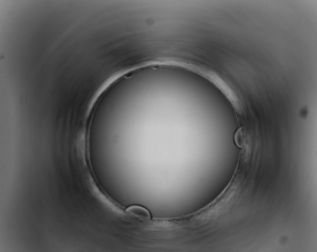 X0000103451100200809121119