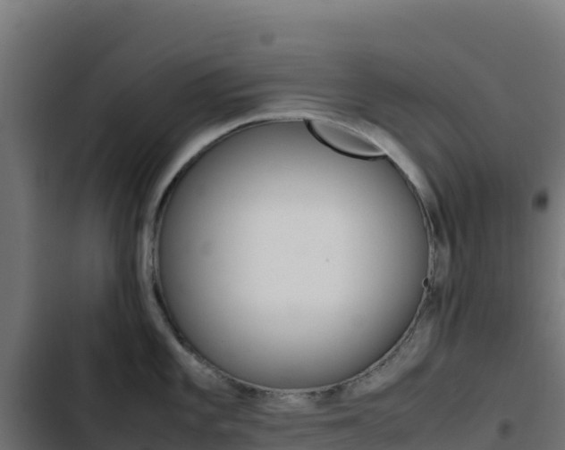 X0000103451101200809121119