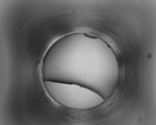 X0000103451103200809121119