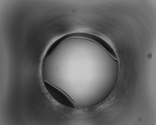 X0000103451104200809121119