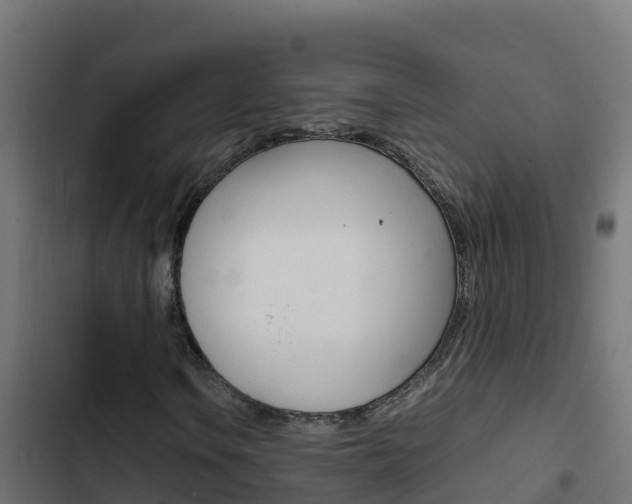X0000103451106200809121119