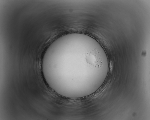 X0000103451107200809121119