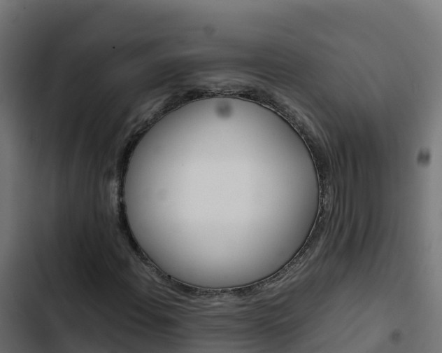 X0000103451108200809121119