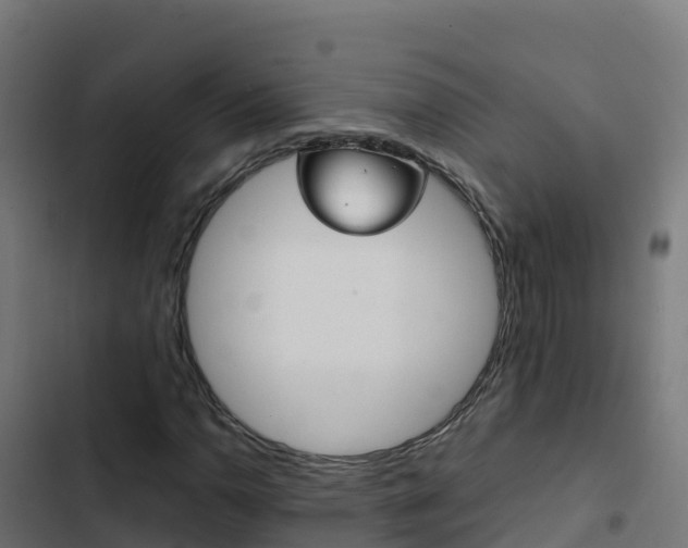 X0000103451110200809121119