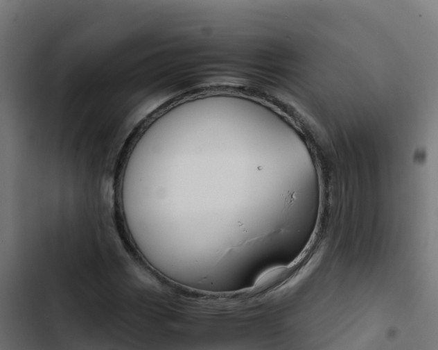 X0000103451113200809121119