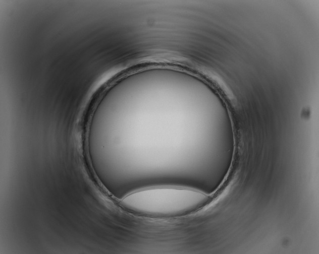 X0000103451114200809121119