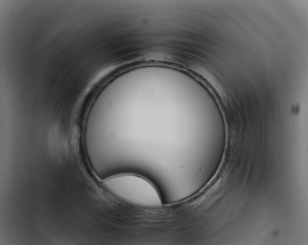 X0000103451115200809121119
