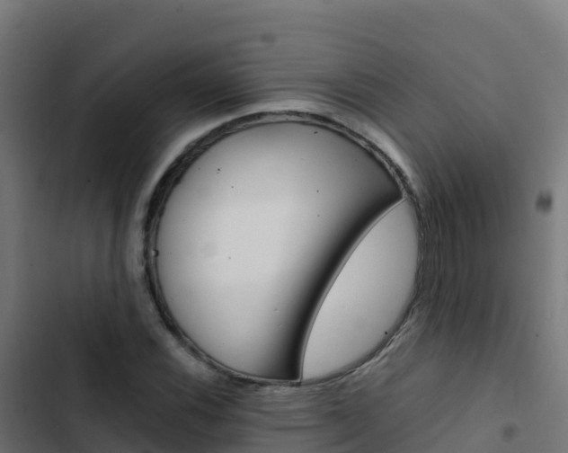 X0000103451116200809121119