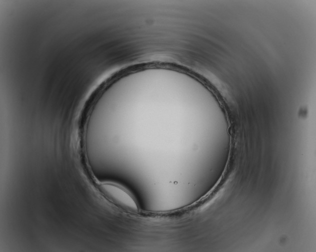 X0000103451118200809121119