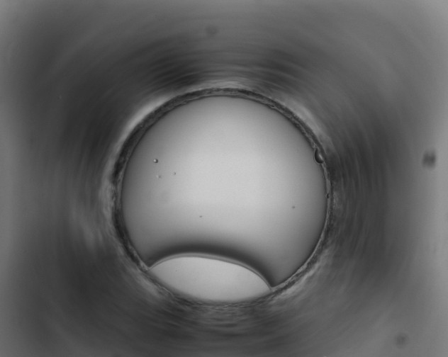 X0000103451119200809121119