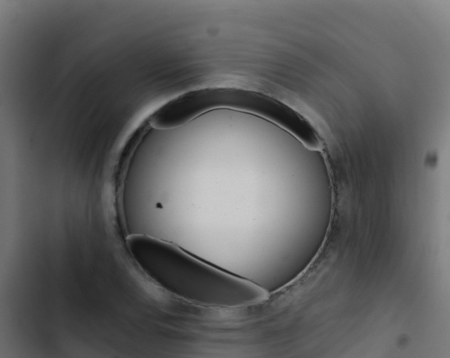 X0000103451120200809121119