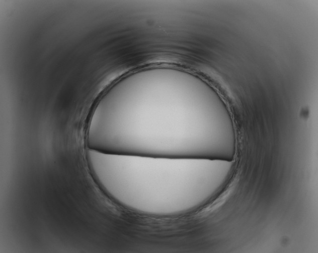 X0000103451121200809121119