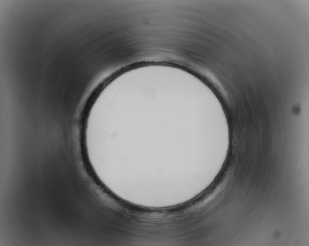 X0000103451122200809121119