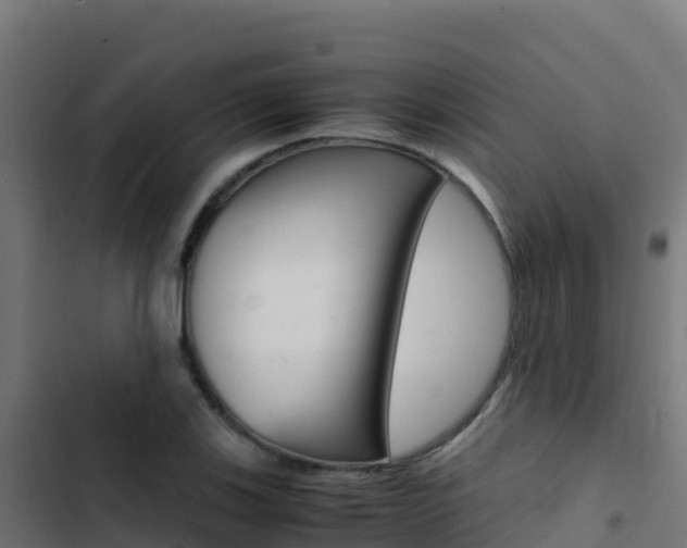 X0000103451123200809121119