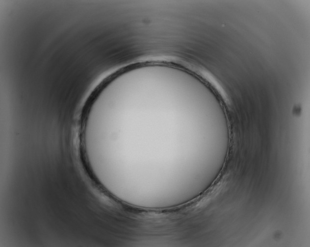 X0000103451124200809121119