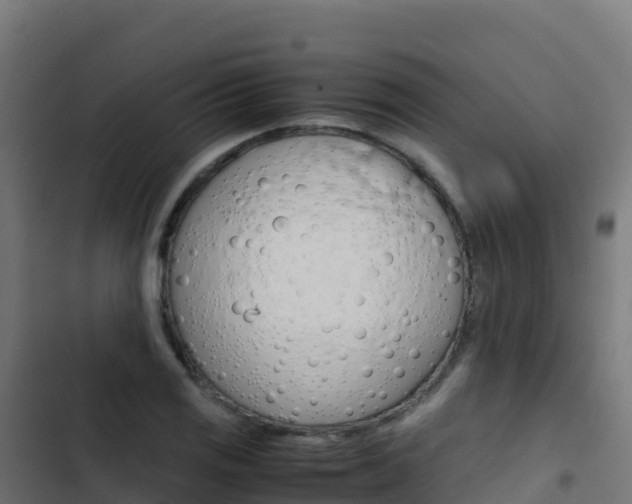 X0000103451125200809121119