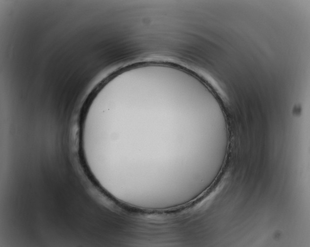 X0000103451126200809121119