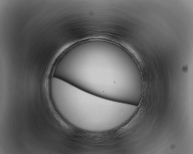 X0000103451127200809121119