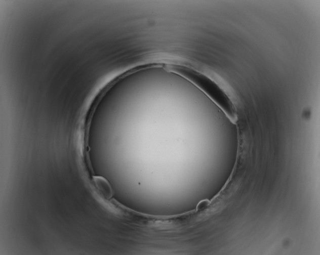X0000103451128200809121119