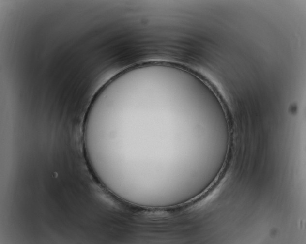 X0000103451129200809121119