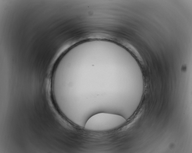 X0000103451130200809121119