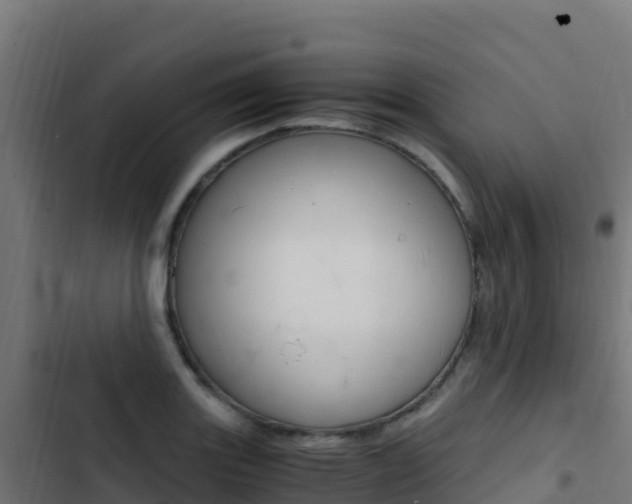 X0000103451131200809121119