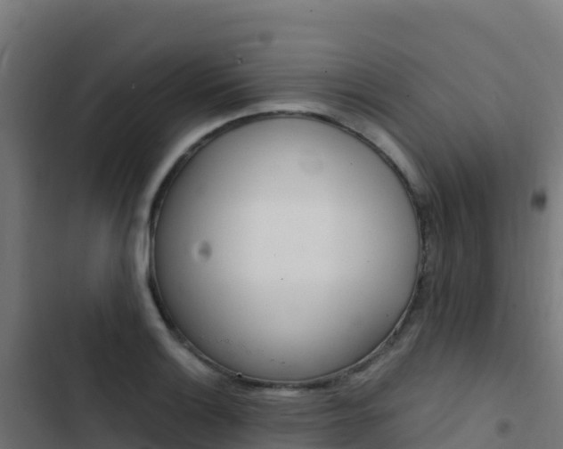 X0000103451132200809121119