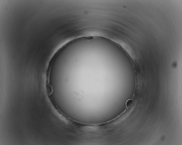 X0000103451134200809121119